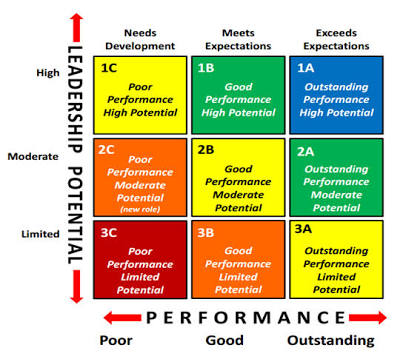9-Box Grid Model Performance and Potential matrix